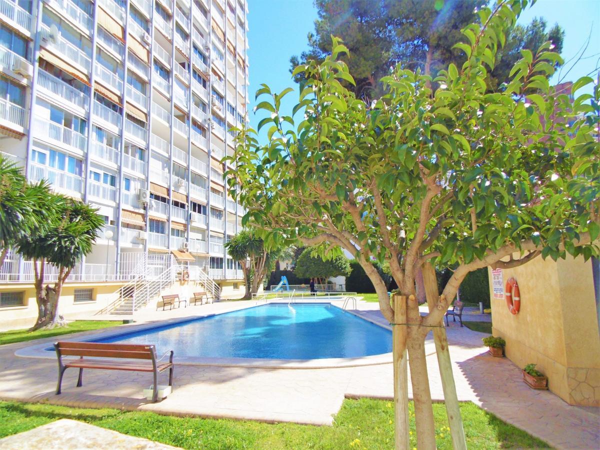 Albatros 13-1 Apartment เบนิดอร์ม ภายนอก รูปภาพ